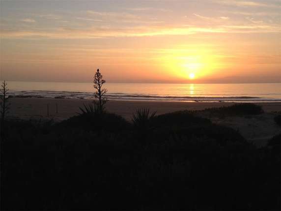 Image 2 of 5