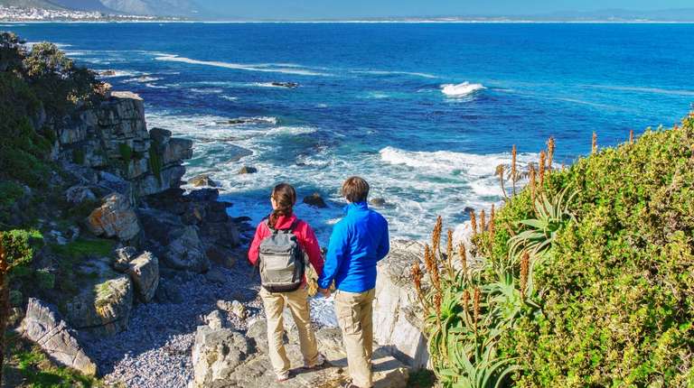 Garden Route, Safari & Winelands Wonder trip - alternative tour available