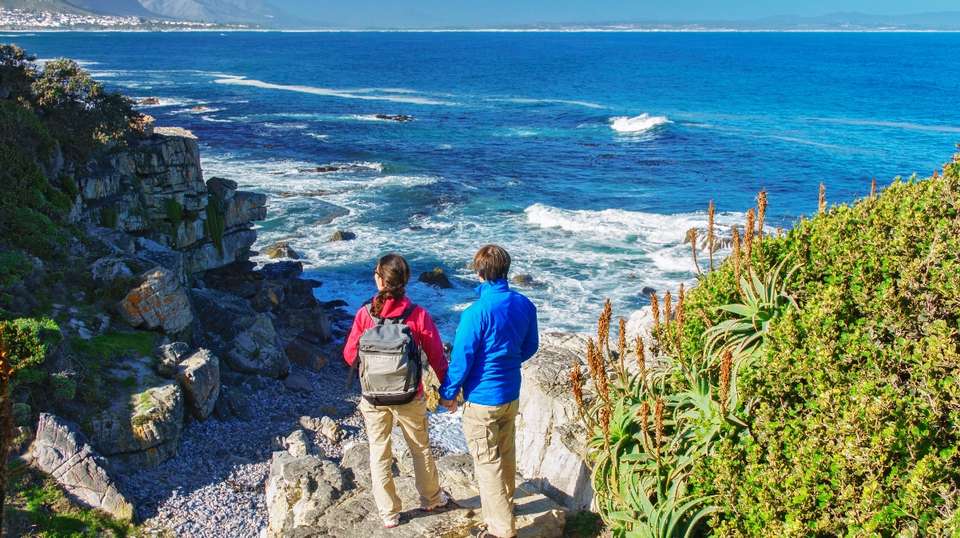 Garden Route, Safari & Winelands Wonder - undefined - Image 1