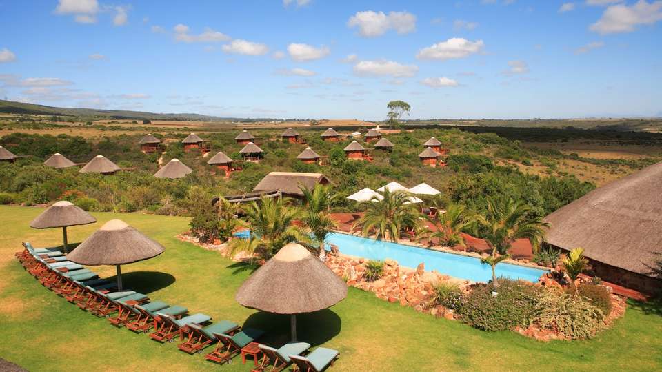 Garden Route, Safari & Winelands Wonder - undefined - Image 9