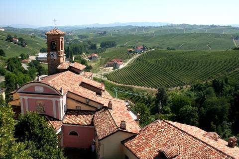 Europe Trekking And Hiking Tour: Gastronomic Barolo Walk