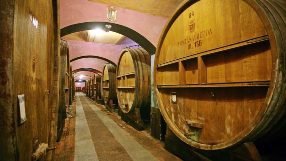 Gastronomic Barolo Walk - Exodus Adventure Travels - Italy - Image 6