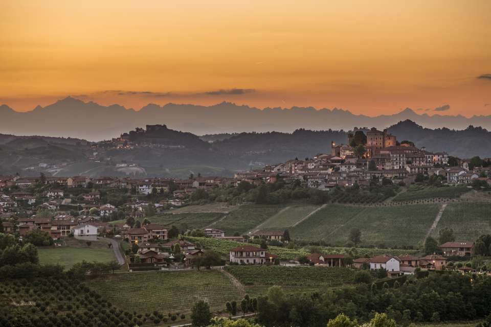 Gastronomic Barolo Walk - Exodus Adventure Travels - Italy - Image 13