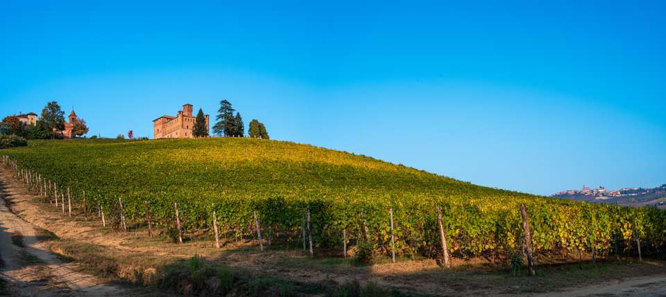 Gastronomic Barolo Walk - Exodus Adventure Travels - Italy - Image 15