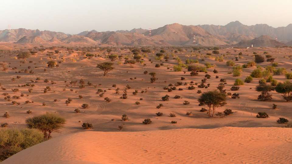 Gems Of Oman - undefined - Image 9