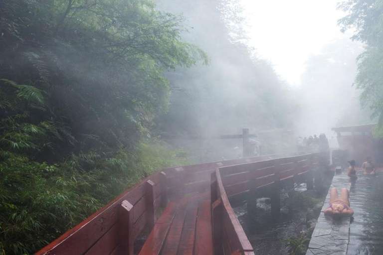Geometric Hot Springs from Valdivia trip - alternative tour available