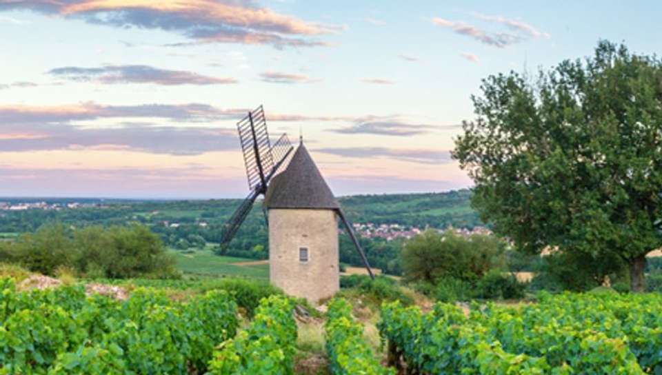 Fine Food and Wines on a Cruise through the Burgundy Region (port-to-port cruise) - undefined - Image 2