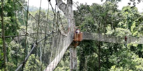 West Africa Eco Tours: Ghana: Beaches & Breathtaking Coastlines