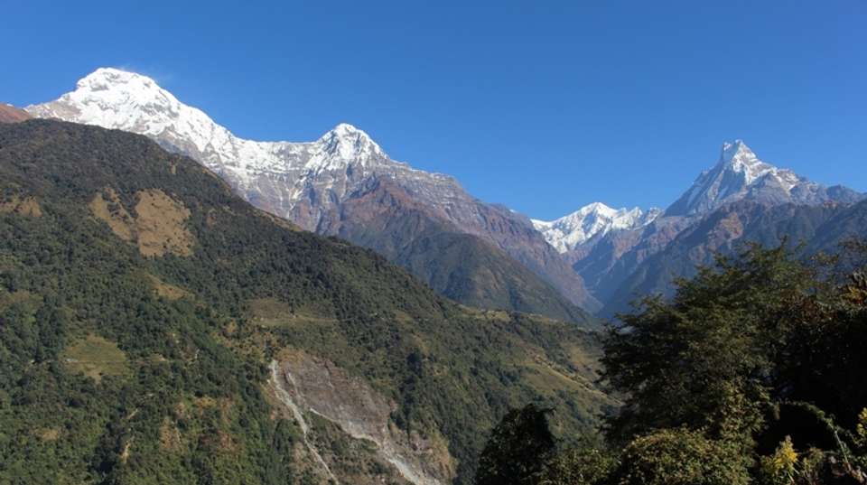 Ghorepani Poon Hill Sunrise Trek - Unique Adventure International Pvt Ltd - Nepal - Image 4