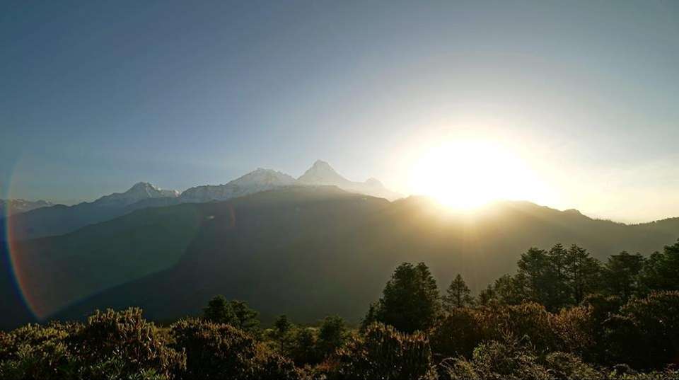 Ghorepani Poon Hill Sunrise Trek - Unique Adventure International Pvt Ltd - Nepal - Image 6