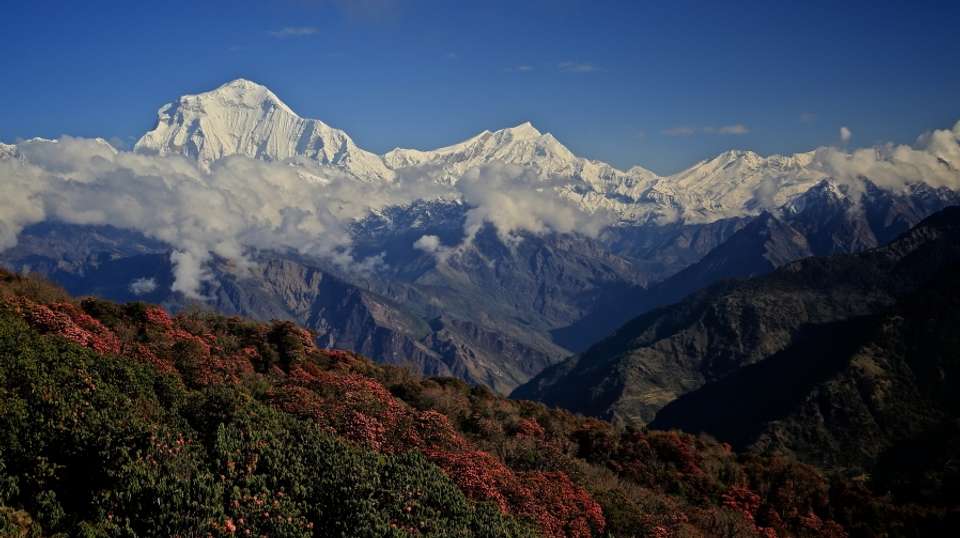 Ghorepani Poon Hill Trek - Breakfree Adventures Pvt Ltd - Nepal