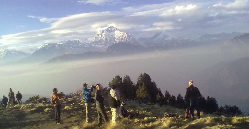 Ghorepani Poon hill Trek 5 days - Nepal Lion Tours And Treks Pvt Ltd - Nepal - Image 2