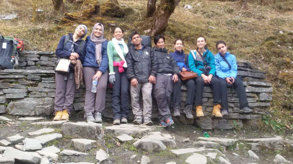 Ghorepani Poon hill Trek 5 days - Nepal Lion Tours And Treks Pvt Ltd - Nepal - Image 4