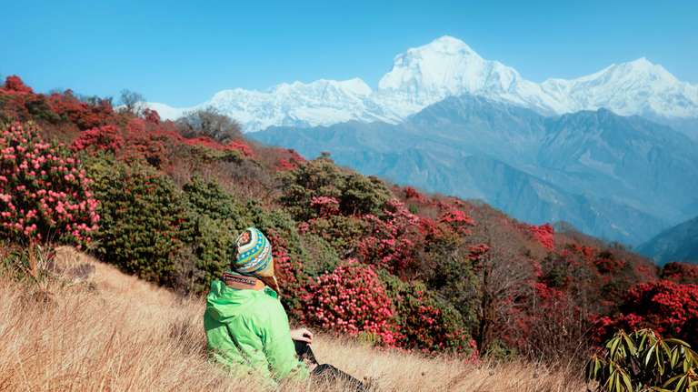 Ghorepani Poon Hill Trek trip - alternative tour available