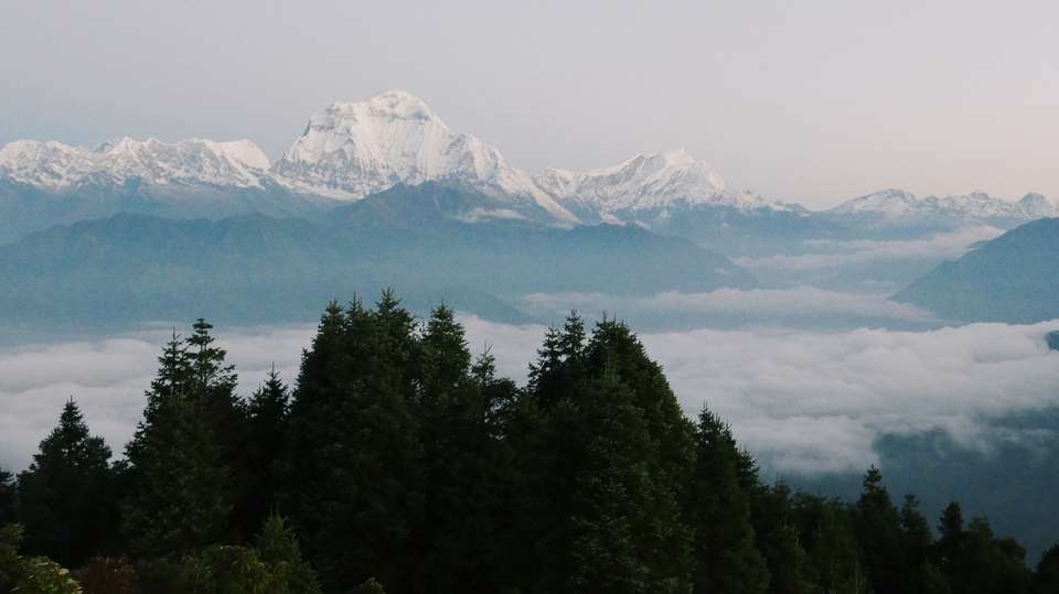 Ghorepani Poon Hill Trek - Travel Max Guide - Nepal - Image 7
