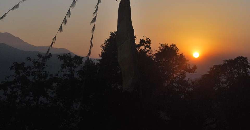 Ghorepani-Poonhill-Ghandruk trek - Nepal Eco Adventure Pvt Ltd - Nepal - Image 4