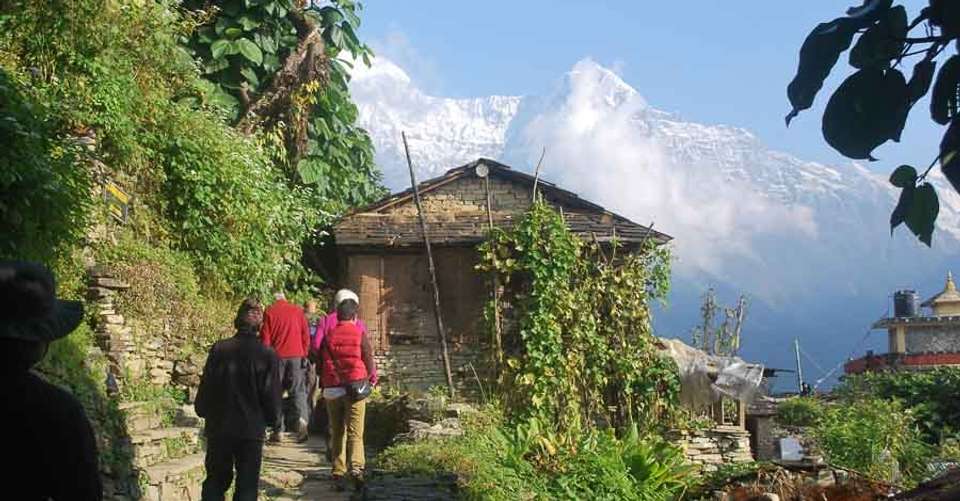 Ghorepani-Poonhill-Ghandruk trek - Nepal Eco Adventure Pvt Ltd - Nepal - Image 5
