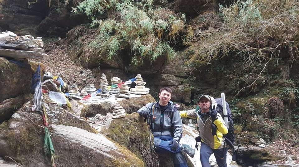 Ghorepani Poonhill Trek  - Master Himalaya Treks And Expedition Pvt Ltd - Nepal - Image 4