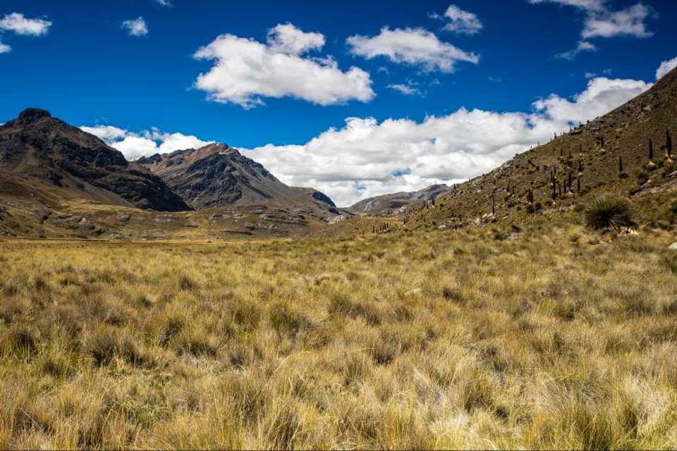 Glacier Pastoruri and Puya Raimondi Full Day Tour - Tangol Tours - Peru - Image 5