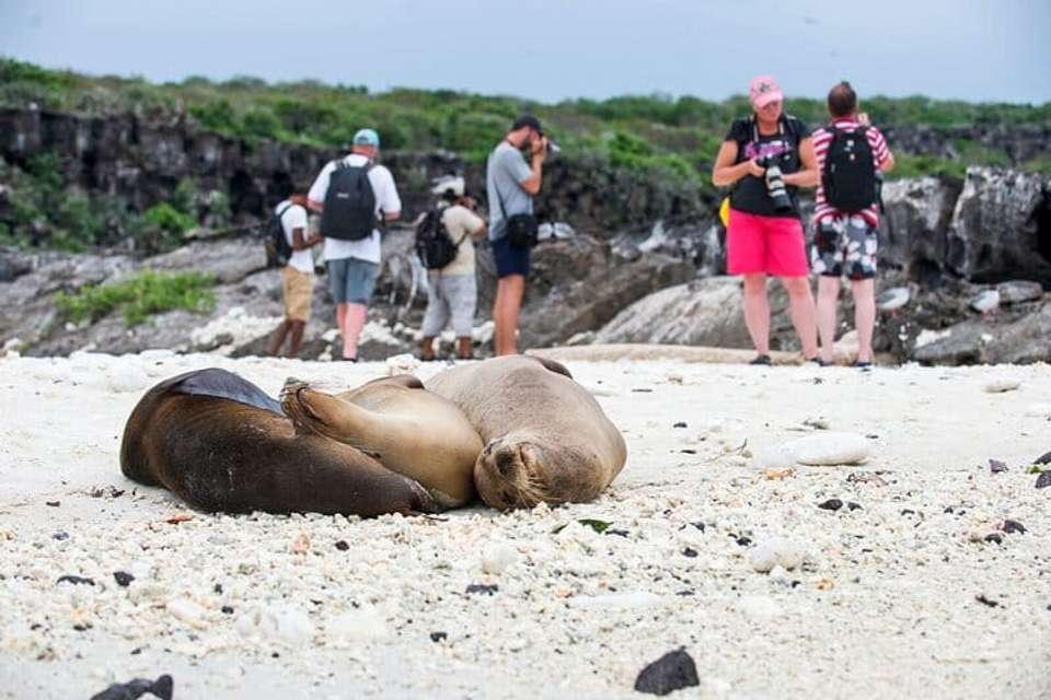 Glamorous Galapagos - 5 days - undefined - Image 7
