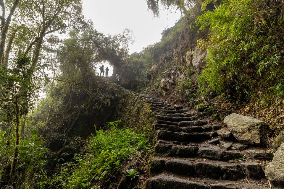 Glamping on the Inca Trail - undefined - Image 10