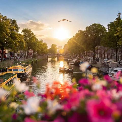 Glimpse Of Europe