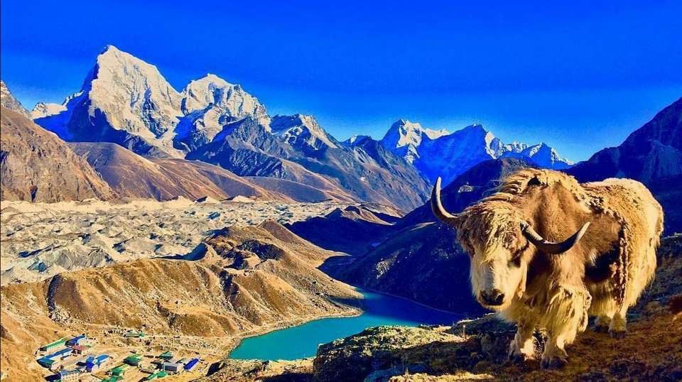 Gokyo Valley Trek - undefined - Image 3