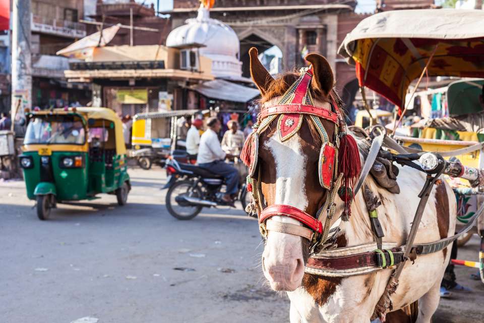 Golden Triangle, 6 Days Tour - Destination Services - India - Image 4
