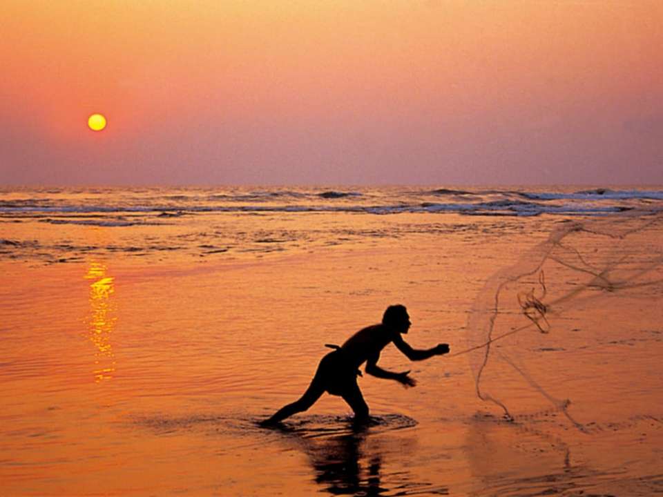 Golden Triangle & Goa - 11 days - On The Go Tours - India - Image 5