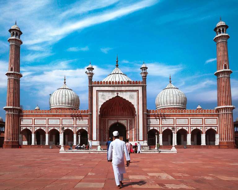 Golden Triangle & Leopards (4 Star) - 7 days trip - alternative tour available