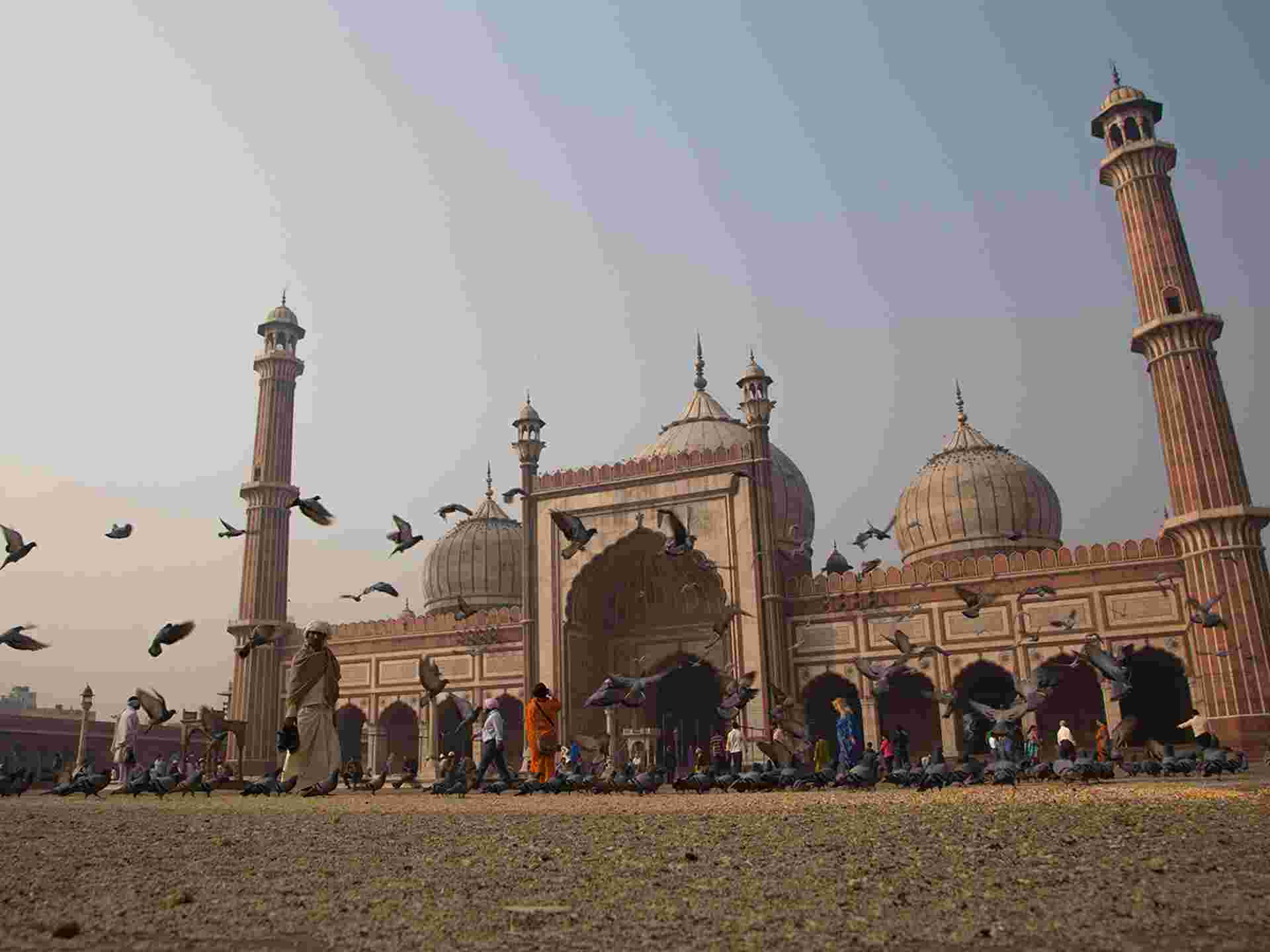 Golden Triangle & Tigers - 10 days