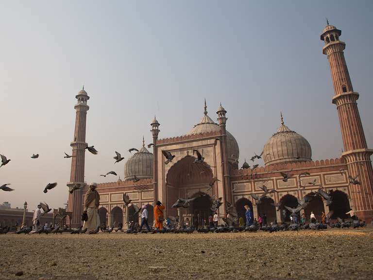 Golden Triangle & Tigers - 10 days trip - alternative tour available