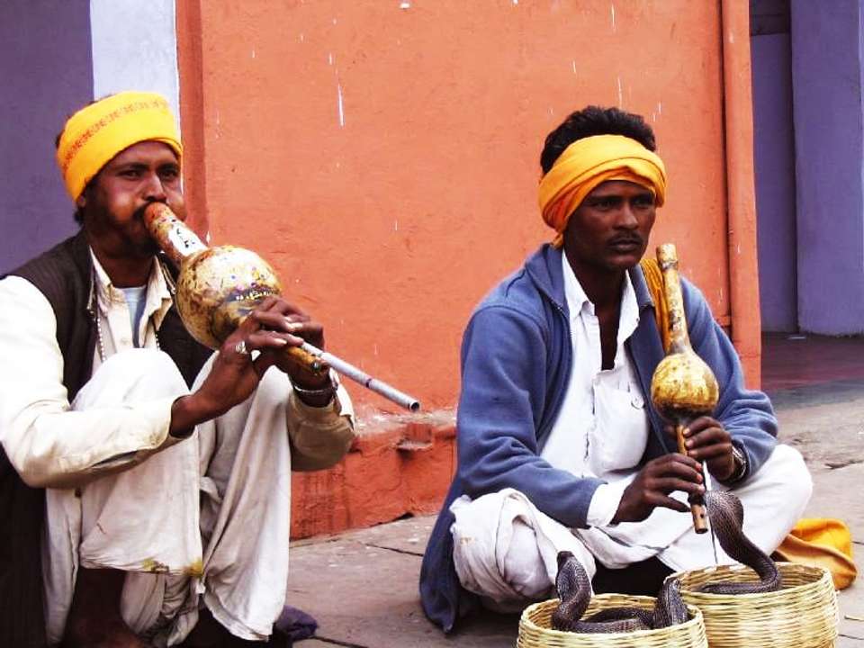 Golden Triangle of India - 9 days - On The Go Tours - India - Image 2