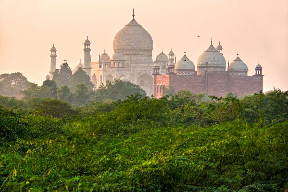 Golden Triangle Of India & Tigers, Private Tour - Destination Services - India - Image 5