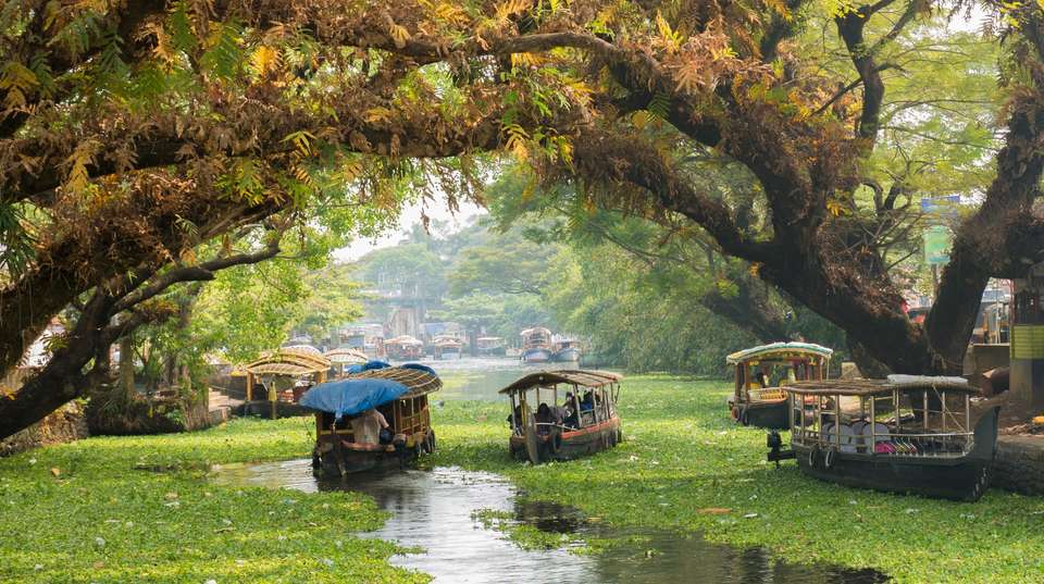 Golden Triangle, Rajasthan & Kerala: 21-Day Tour - undefined - Image 1