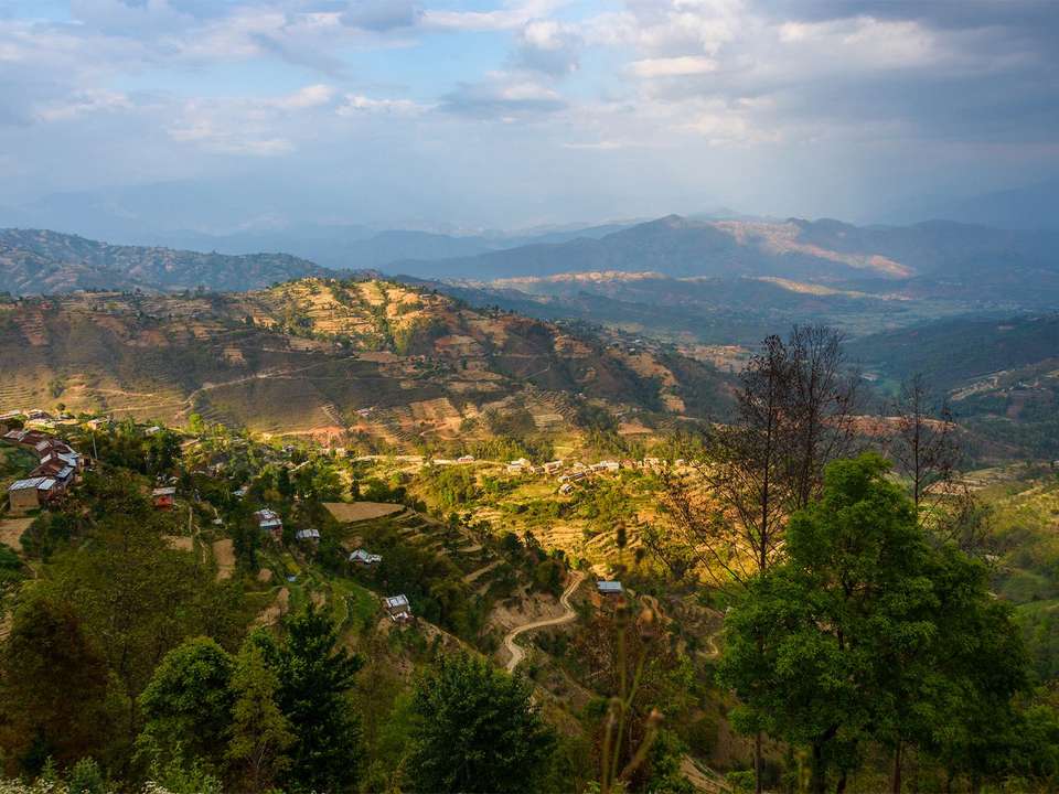 Golden Triangle, Tigers & Himalayas - 16 days - On The Go Tours - India - Image 9