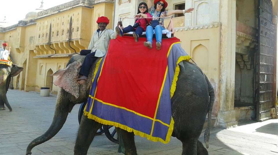 Golden Triangle Tour with Tiger - Memorable India Journeys Pvt. Ltd. - India - Image 5