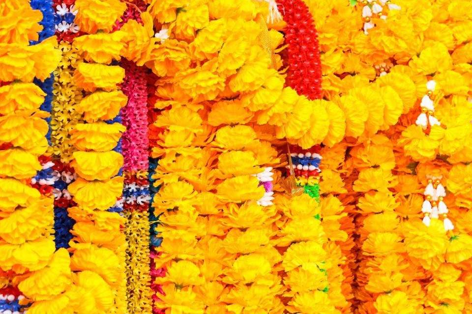 Golden Triangle With Kerala,  Supersaver - Destination Services - India - Image 12