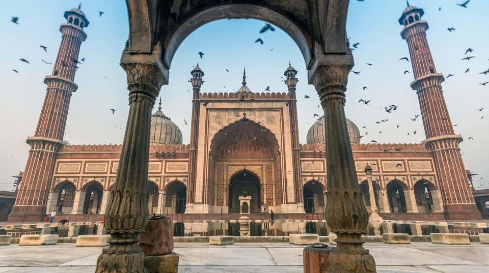 Golden Triangle with Tiger Tours - 707 Tours - India