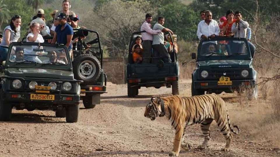 Golden Triangle with Tiger Tours - 707 Tours - India