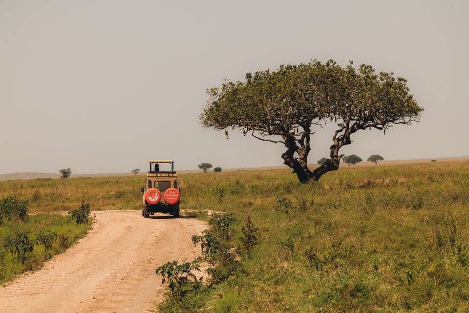 Gorillas & East Africa Safari - Intrepid Travel - Rwanda