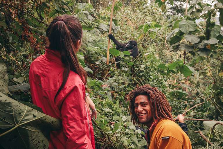 Kenya Last Minute Deals: Gorillas & Game Parks