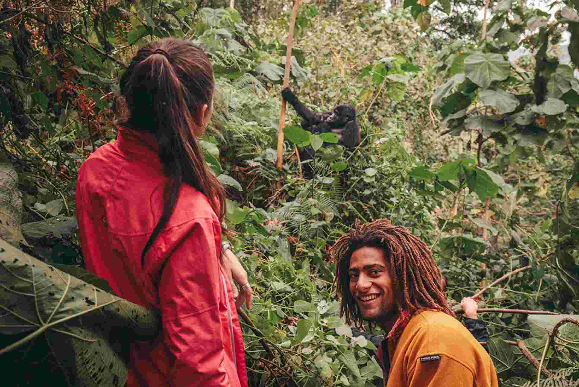 Gorillas & Game Parks