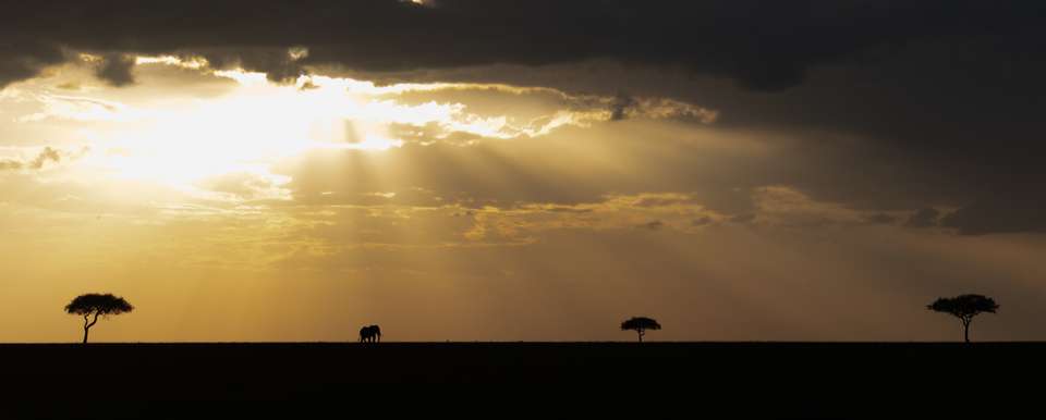 Gorillas & Masai Mara - Camping - Exodus Adventure Travels - Kenya