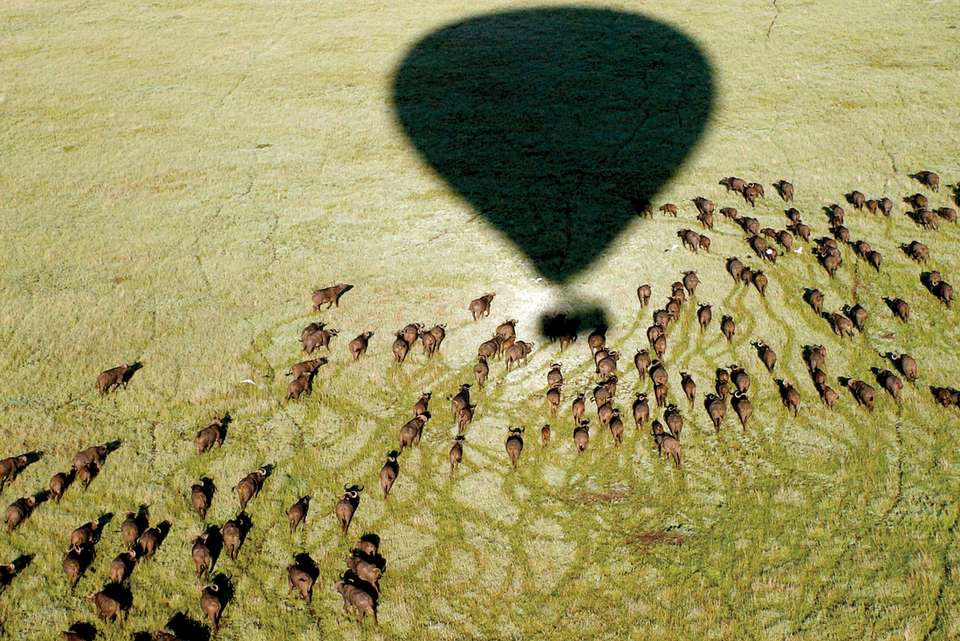 Gorillas, Game Parks & Beaches - Intrepid Travel - Kenya - Image 14
