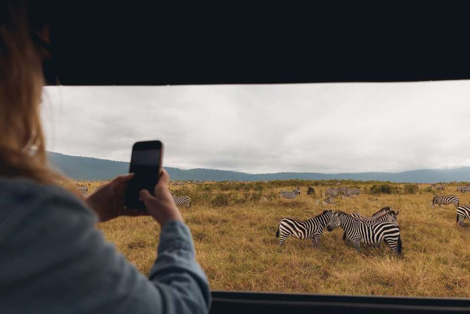Gorillas, Game Parks & Beaches - Intrepid Travel - Kenya - Image 4