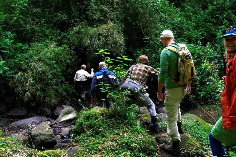 Gorillas Through The Mist - Virunga Lodge (on Request) - November 2025