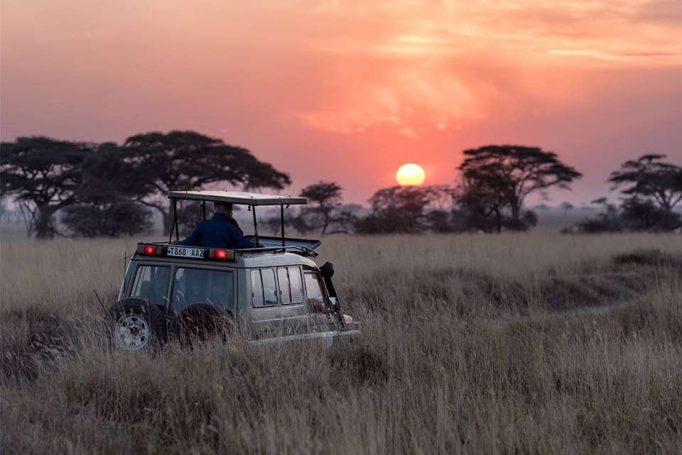 Gorillas to Vic Falls - Intrepid Travel - Kenya - Image 17