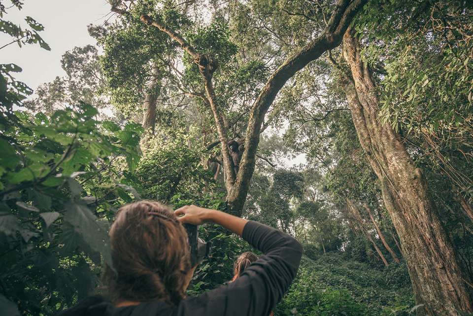Gorillas to Vic Falls - Intrepid Travel - Kenya - Image 15