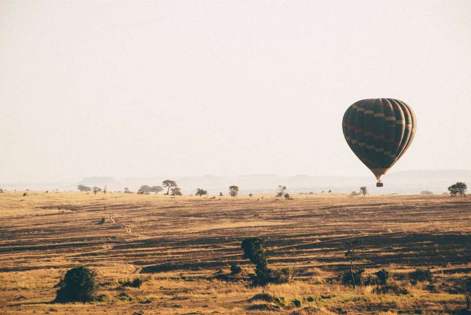 Gorillas to Vic Falls - Intrepid Travel - Kenya - Image 14